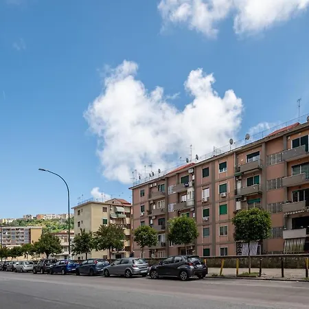 Apartmán House Calise 14